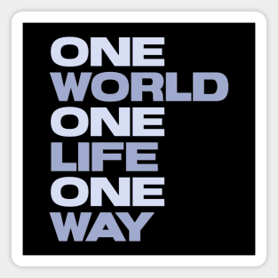 One World One Life One Way Motivation Inspiration Quote Magnet